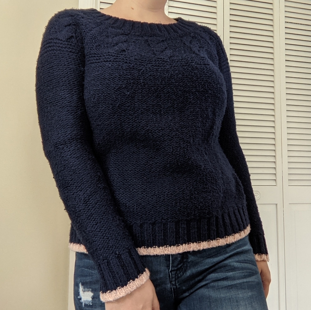 aerie Navy Blue and Pink Sweater